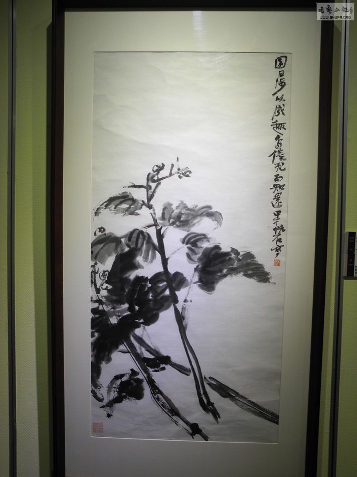 DSCN7117.JPG