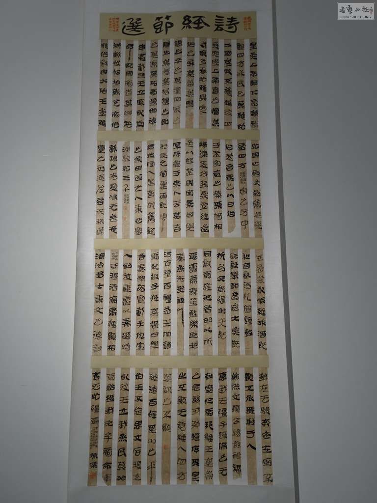 DSC05834.jpg