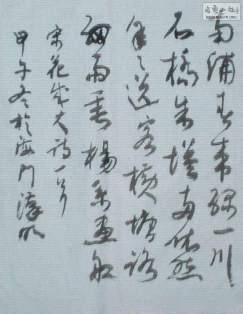 STP63554_.jpg