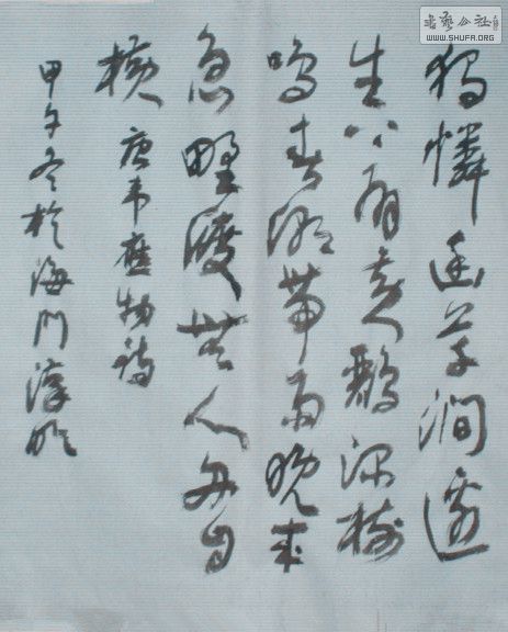 STP63557_.jpg