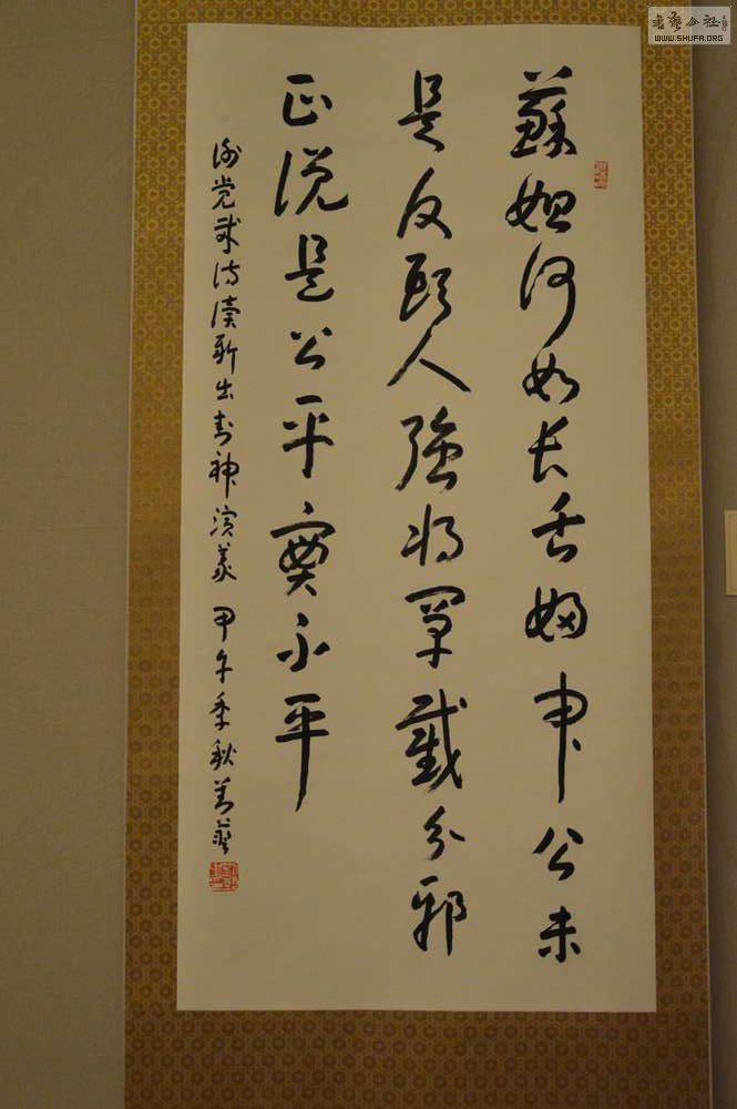 DSC_8246.jpg