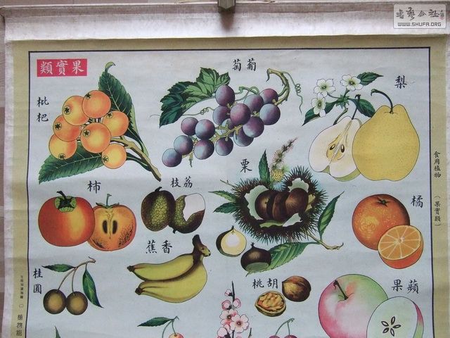 115_С.JPG