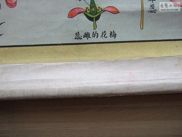 120_С.JPG