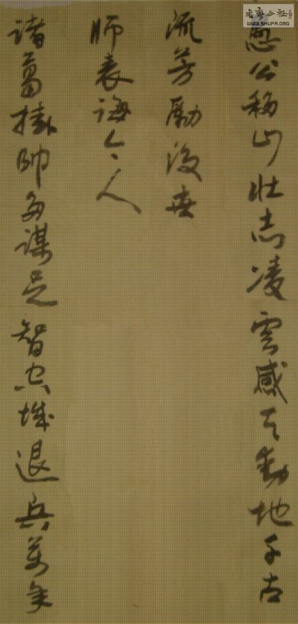 STP63596_.jpg