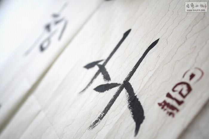 桡Ծ꡷ (3).JPG