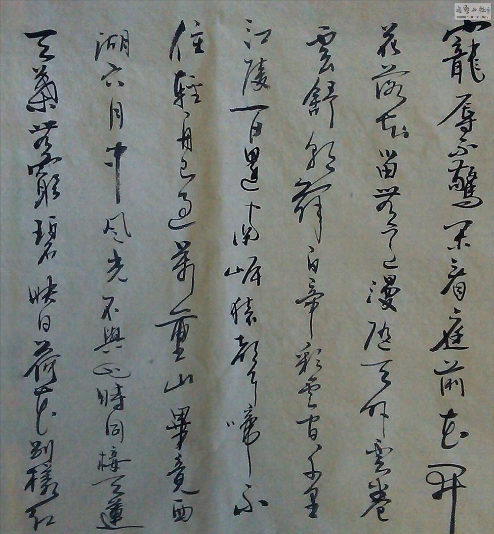 IMAG0774-1.jpg
