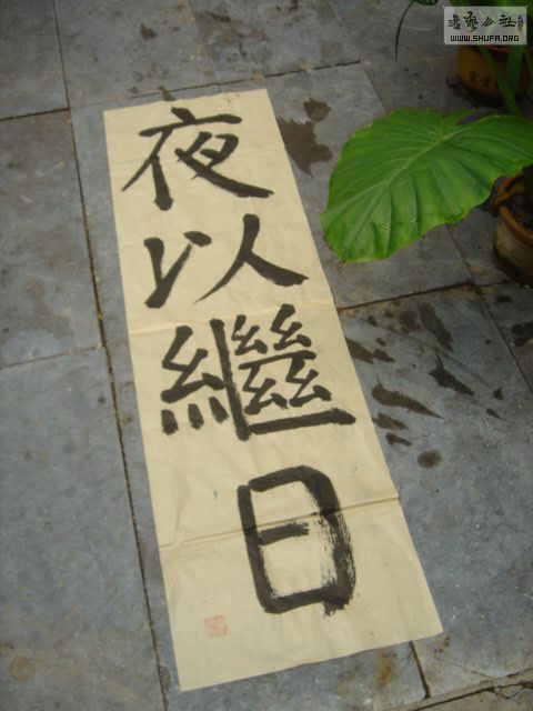 DSC04276 .JPG