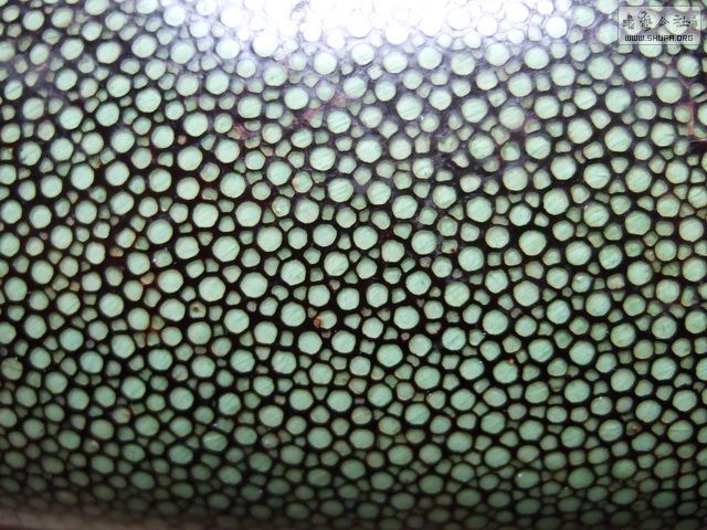 022.JPG