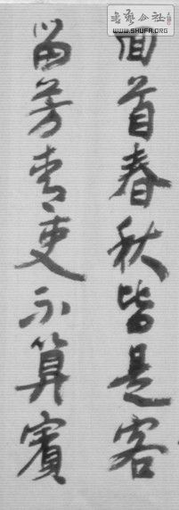 STP63698_1.jpg