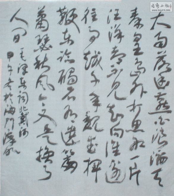 STP63718_.jpg