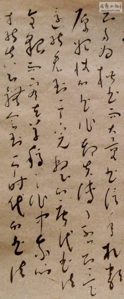 DSCF3074_conew7.jpg