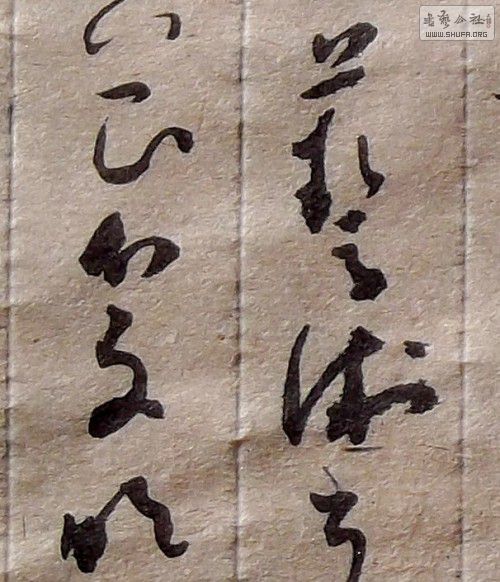 DSCF3080_conew2.jpg