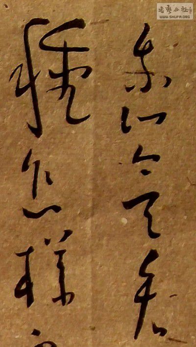 DSCF3090_conew3.jpg