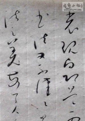 DSCF3092_conew2.jpg