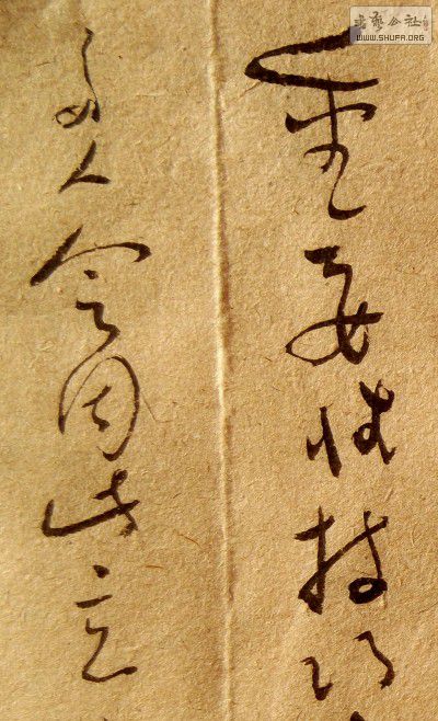 DSCF3109_conew1.jpg