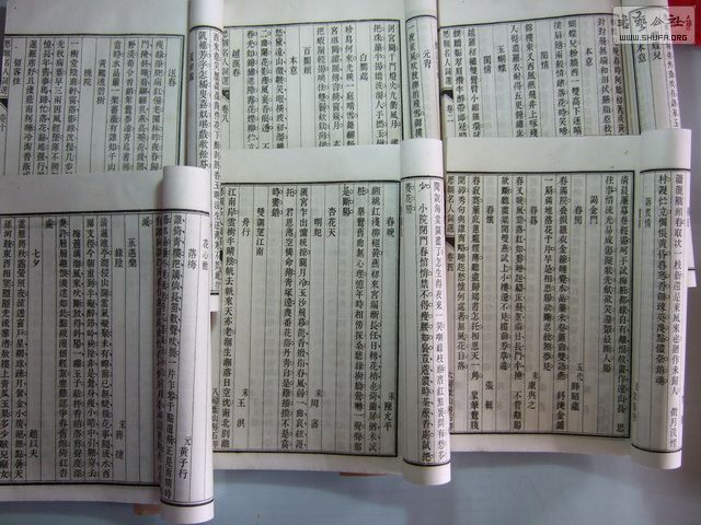030.jpg