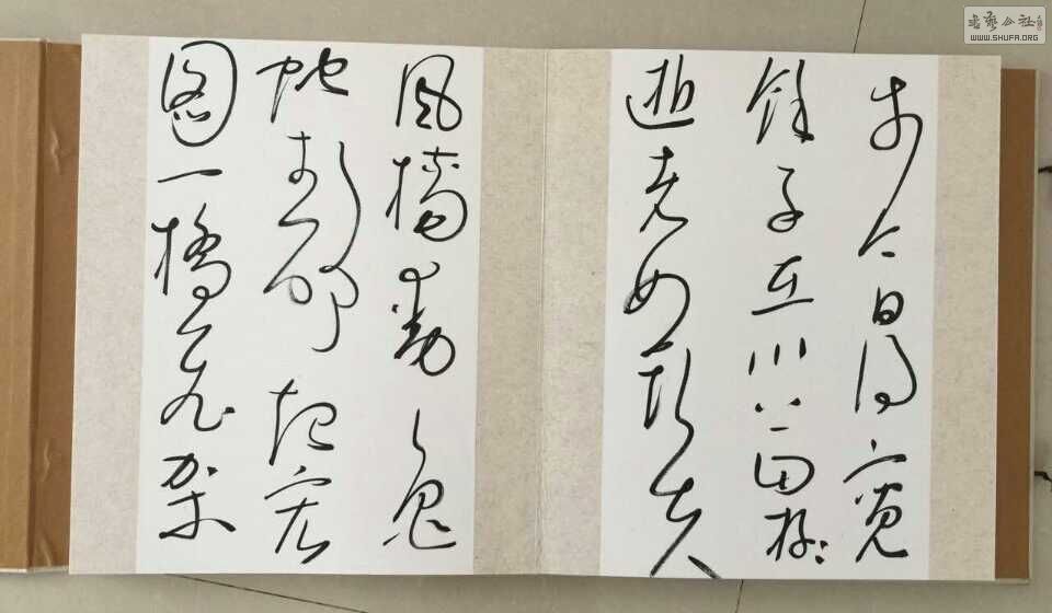 QQͼƬ20150318112832.jpg