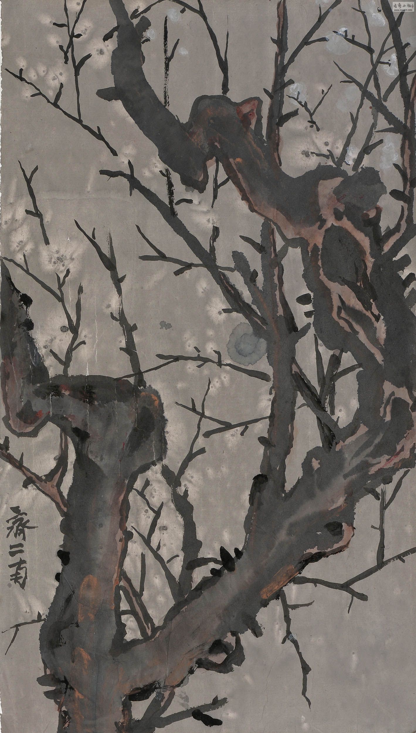 DSJ_3381-2.jpg