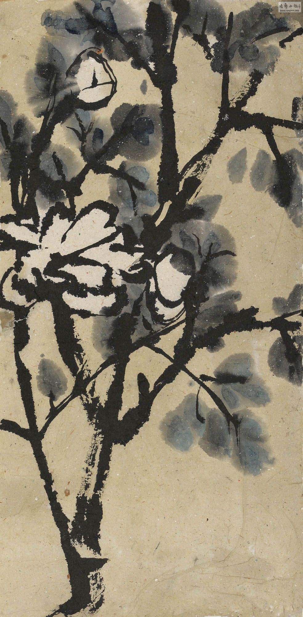 ӻ50x24cm1.1p.jpg