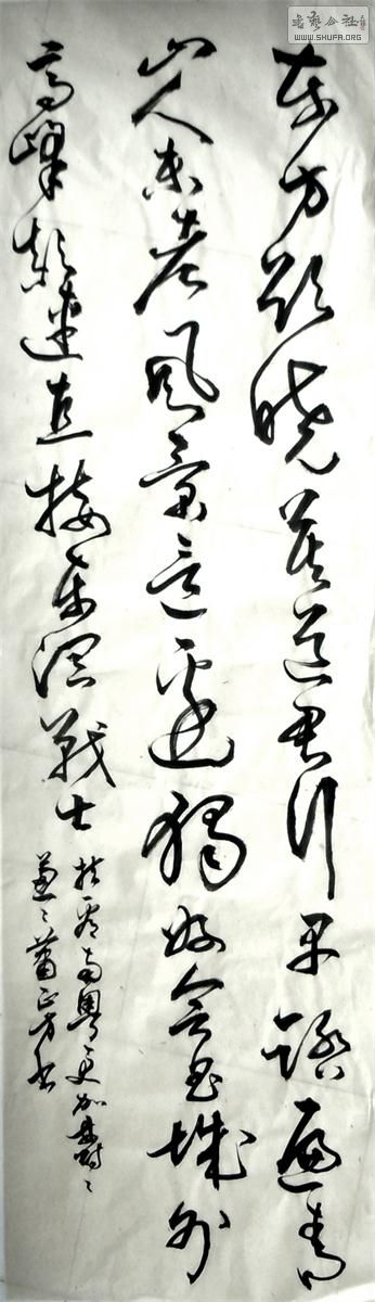 11332a.jpg