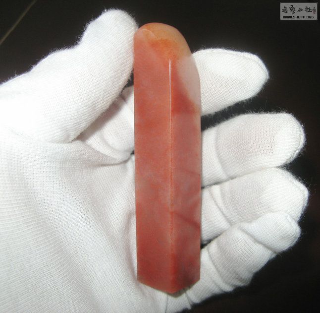 Ƭ 3174.jpg