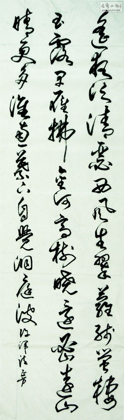 11336a.jpg
