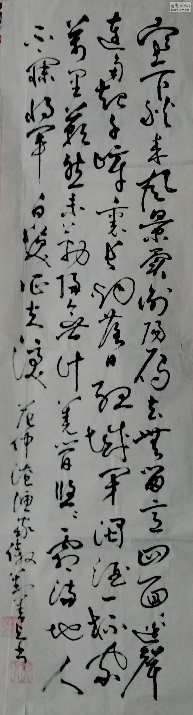 鷶ʹ.jpg