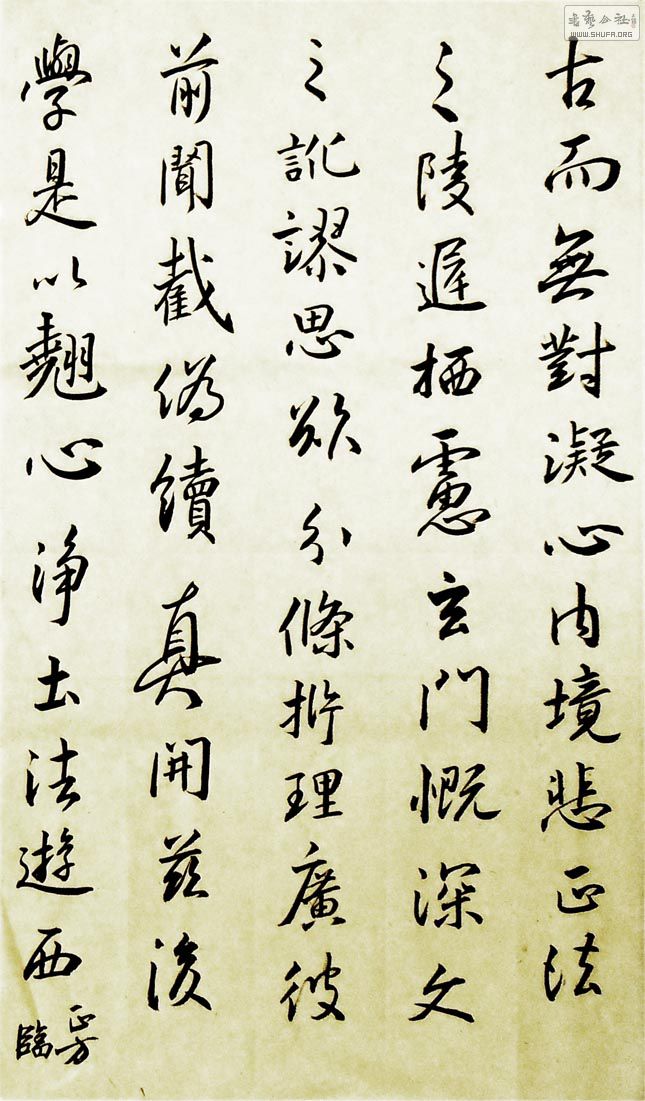 11345a.jpg