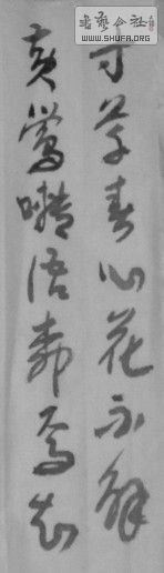 SAM_0780_1.jpg