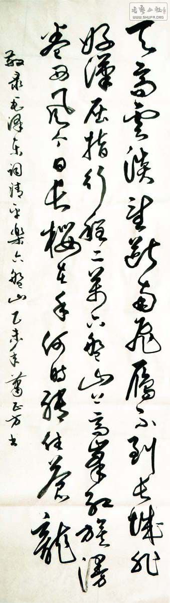 11359a.jpg