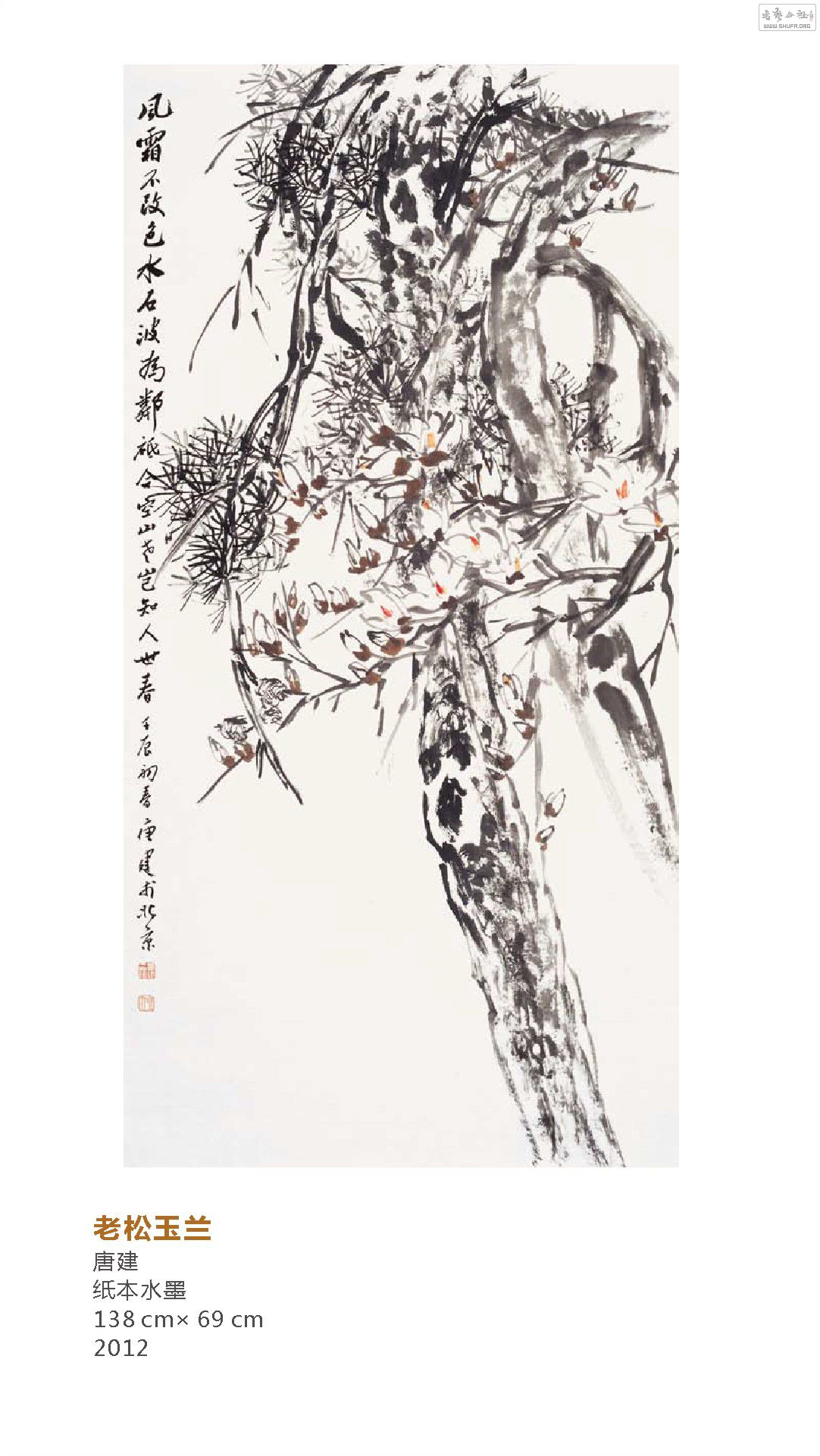 x6.cdr_0142.JPG