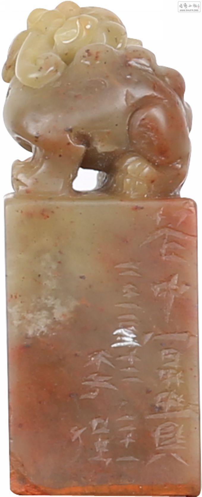 6ǿ7.jpg