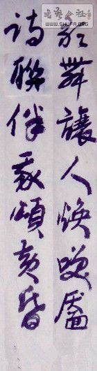 SAM_0923_2.jpg