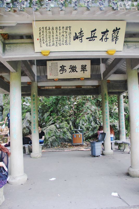 184.jpg