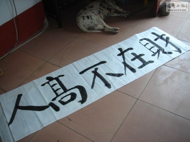 DSC05614 .JPG