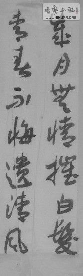 SAM_0990_1.jpg