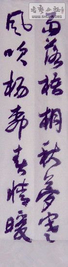 SAM_0990_2.jpg