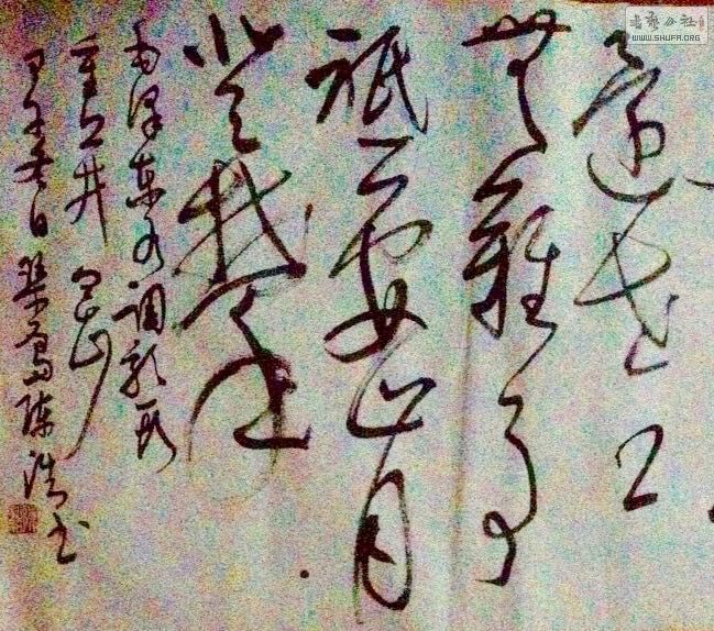 QQͼƬ20150610231536.jpg