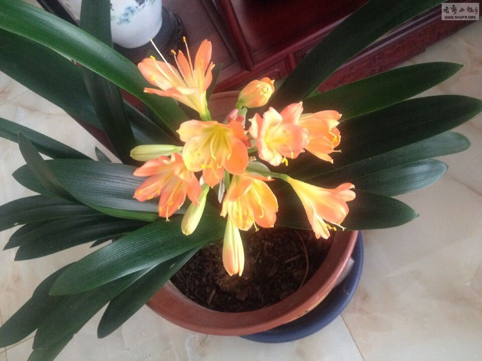 QQͼƬ20150620111046.jpg