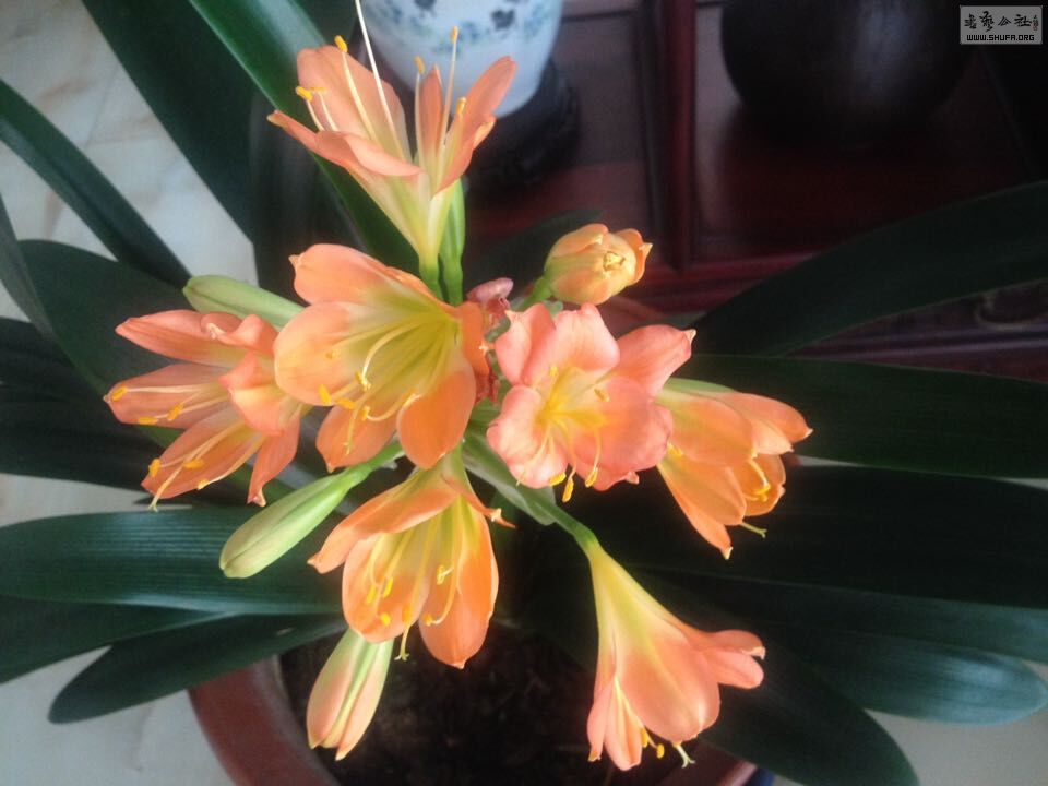 QQͼƬ20150620111029.jpg