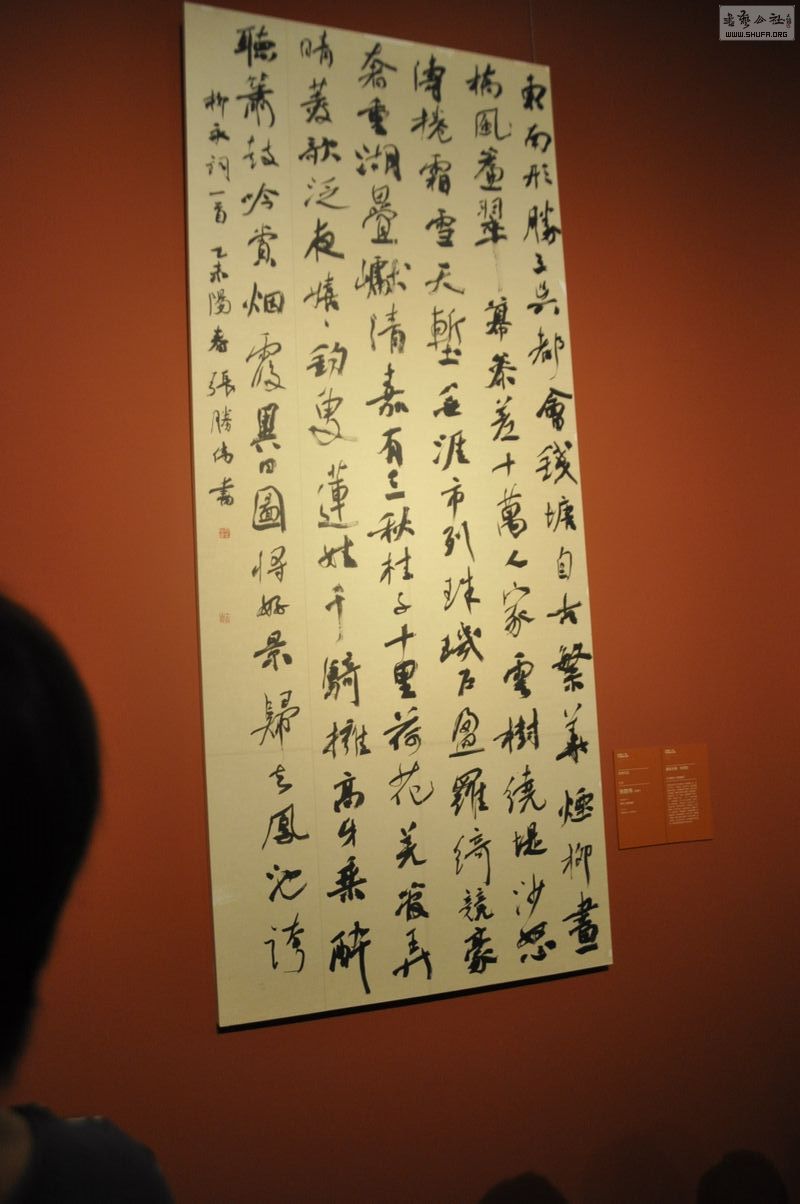 _DSC0085.jpg