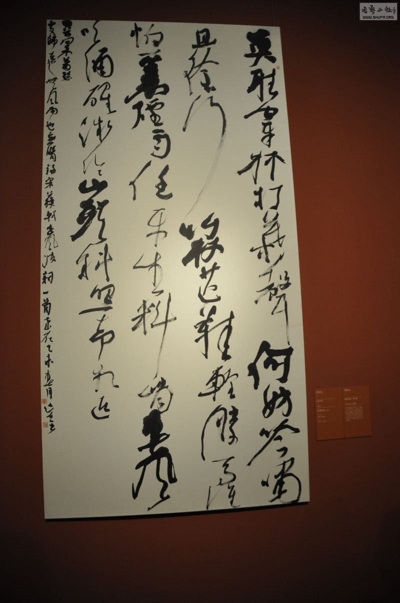 _DSC0090.jpg