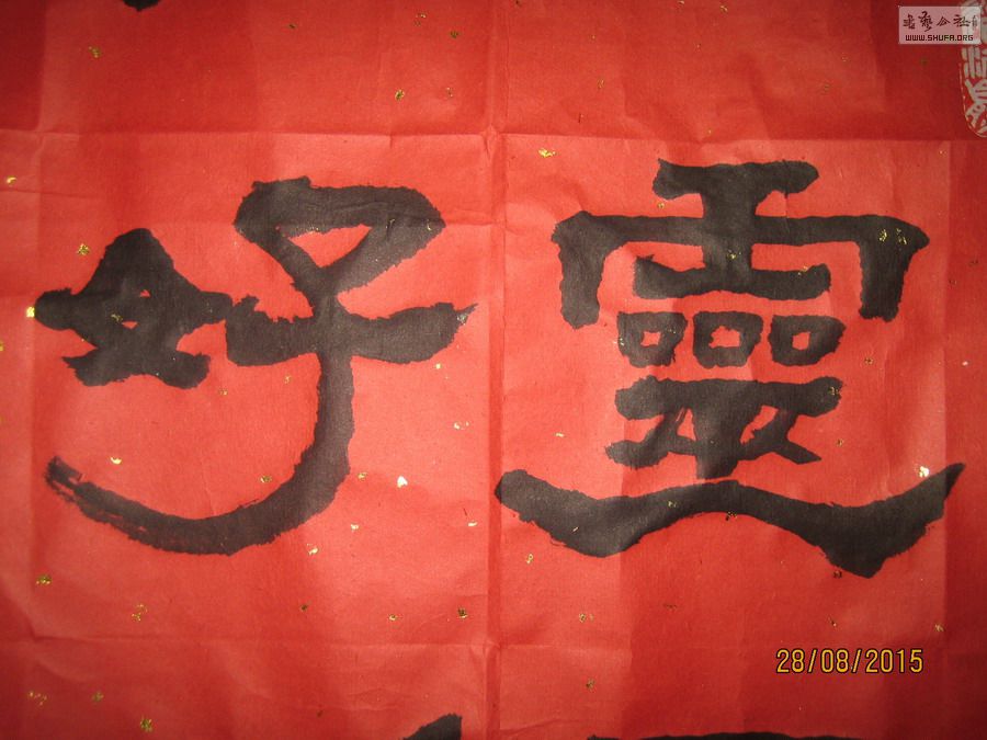 ɽ鷨-˾ô32015.8.28.JPG