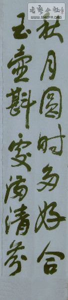 SAM_1241_.jpg