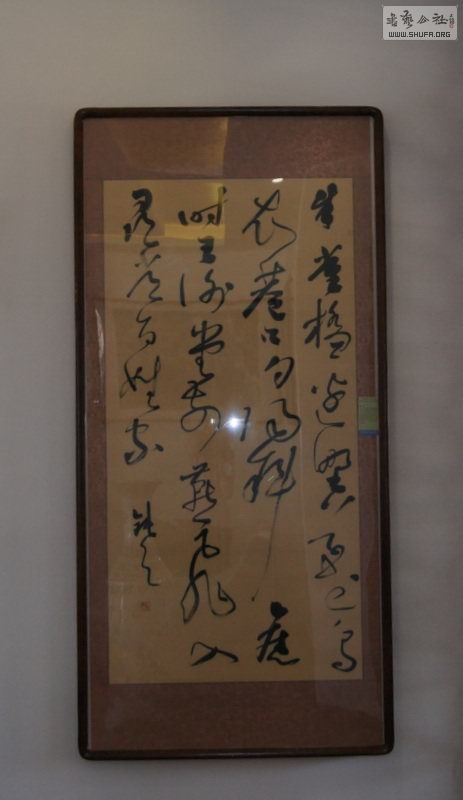 DSC08963.jpg