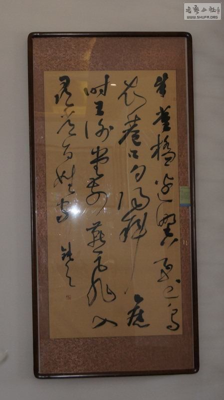 DSC08974.jpg