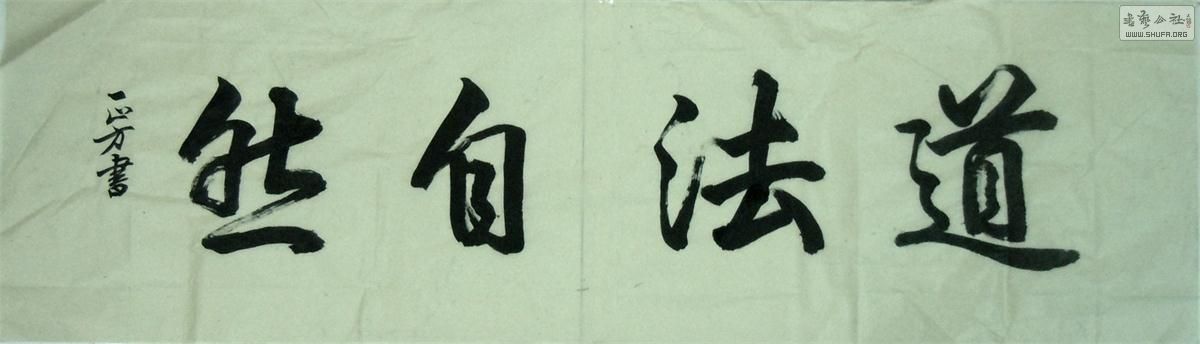 19447a.jpg