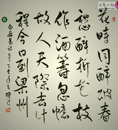 DSCF6202.jpg
