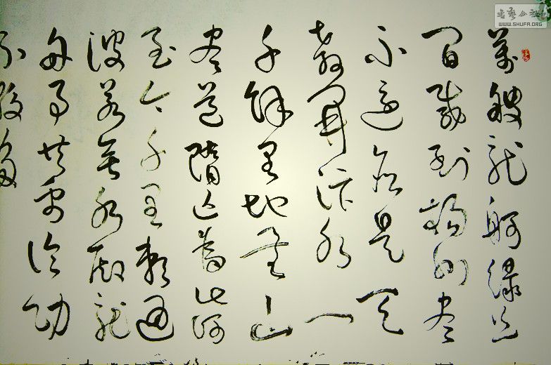 DSCF6262.jpg