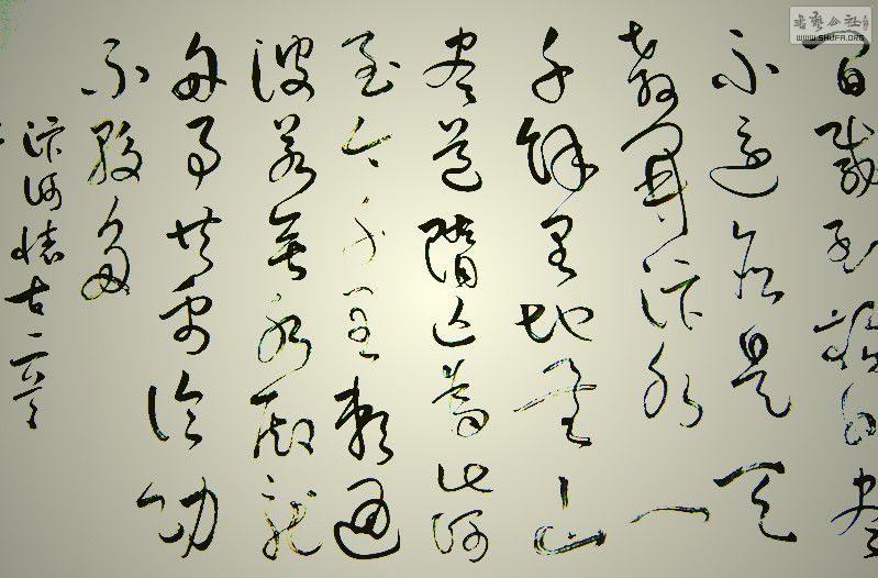 DSCF6269.jpg